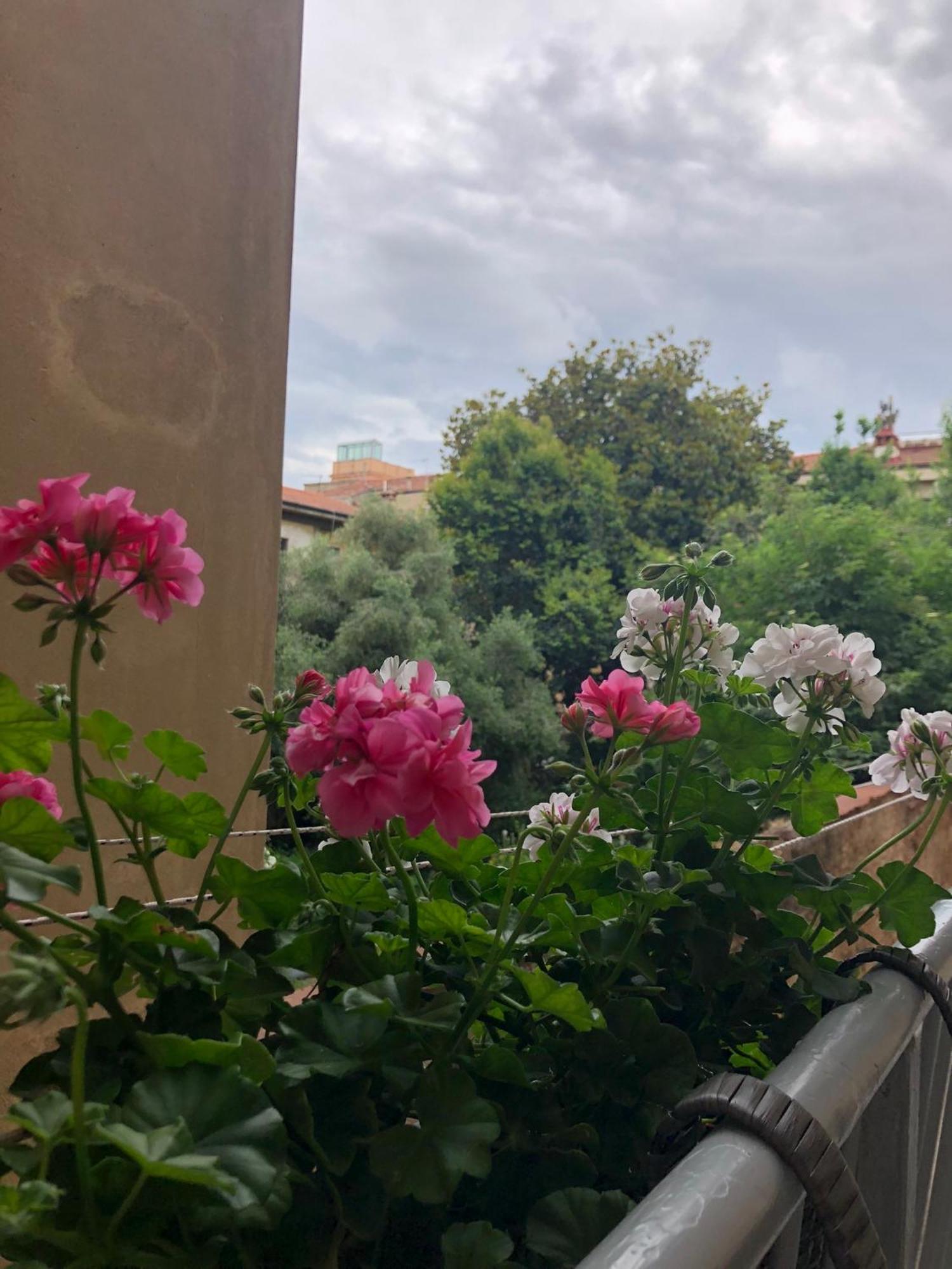 Sonnino House Lejlighed Pisa Eksteriør billede